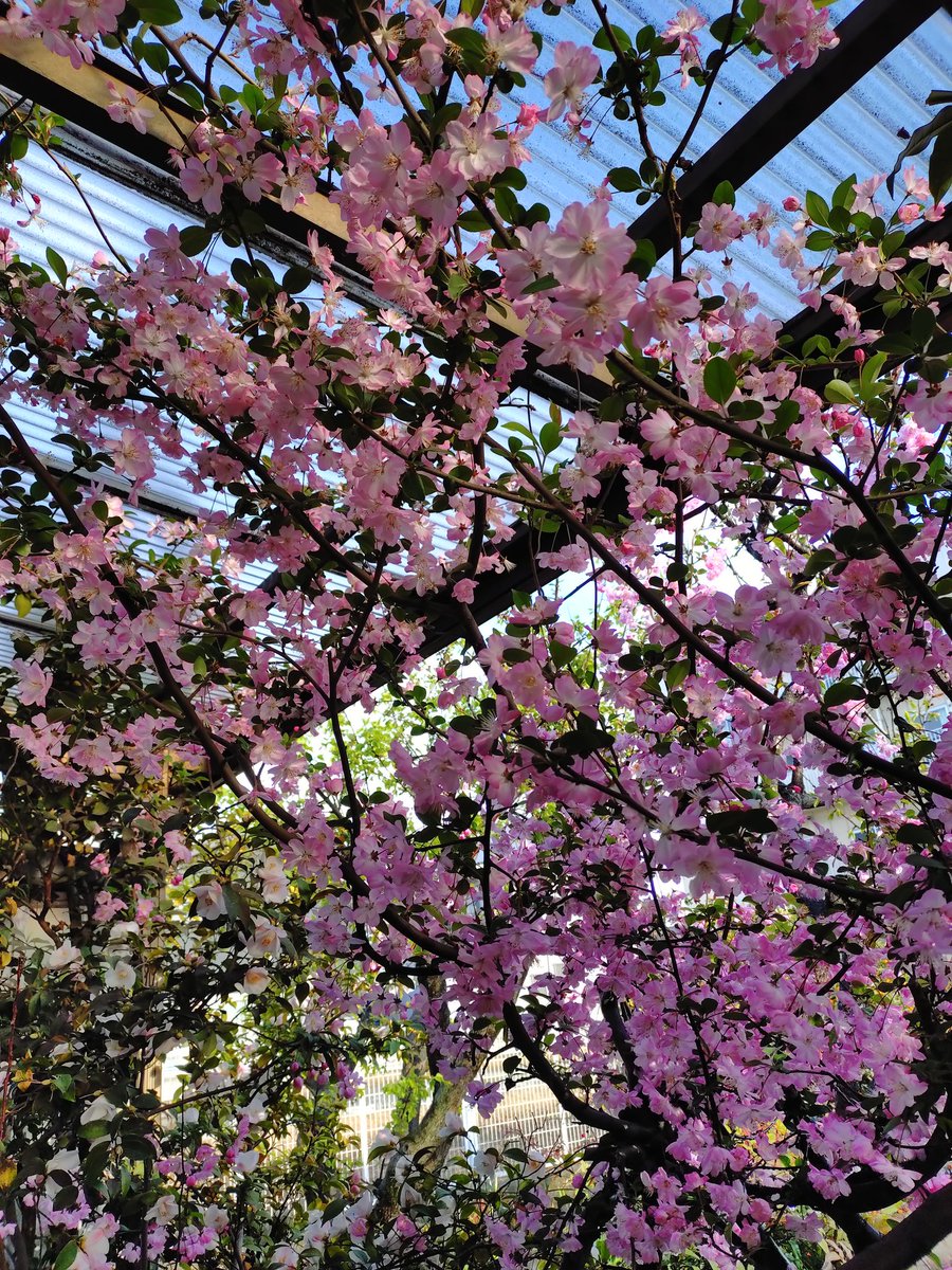 長浜　宏充 tweet media