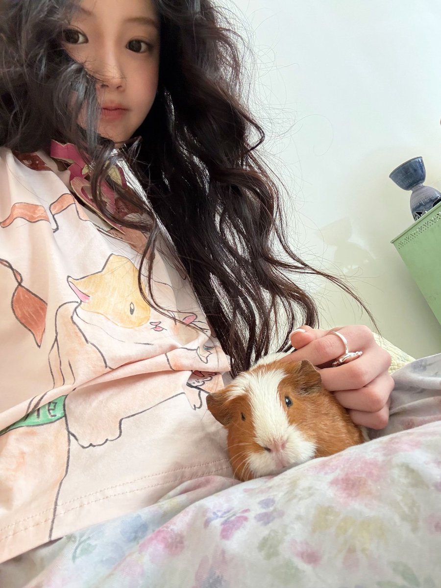 (🐹) guin:hee-ya! tweet media