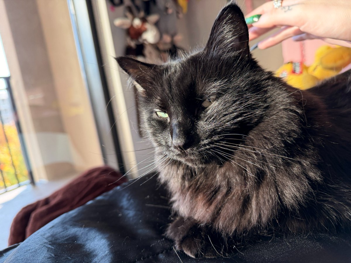 Ray Lovelace💞 tweet media