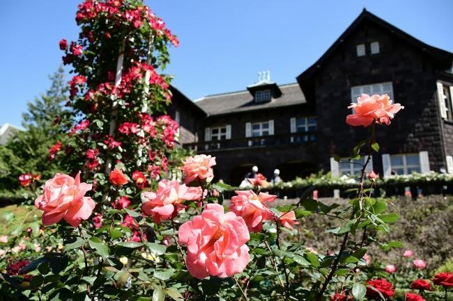 極上の旅図鑑 tweet media