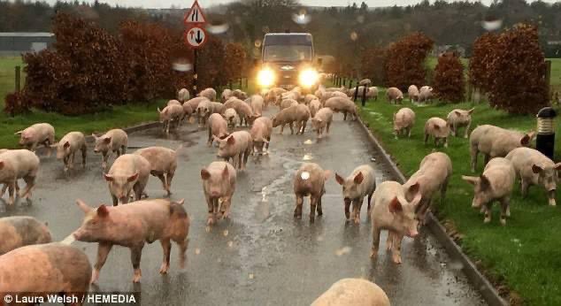 ChrisExcel tweet media