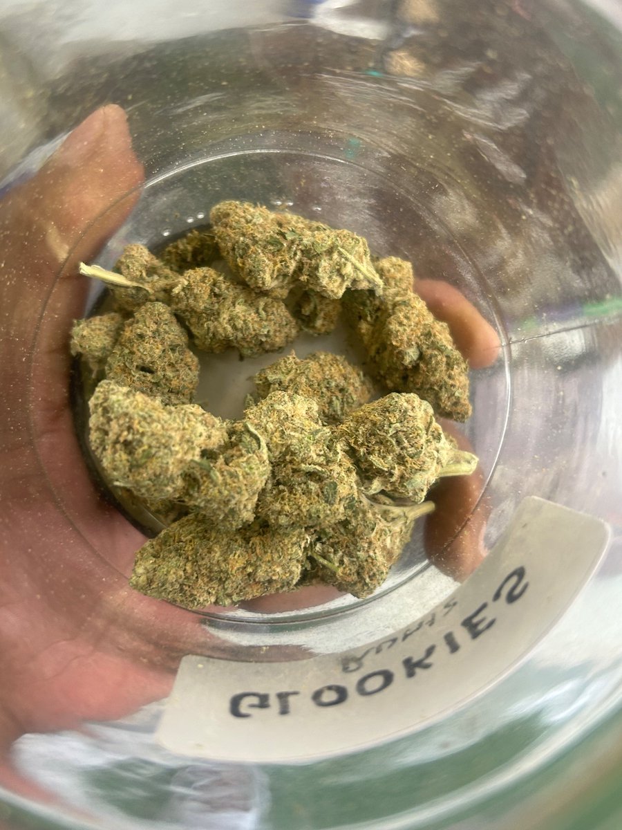 ʀᴀꜱᴛᴀʙᴏᴛ420 💨 tweet media