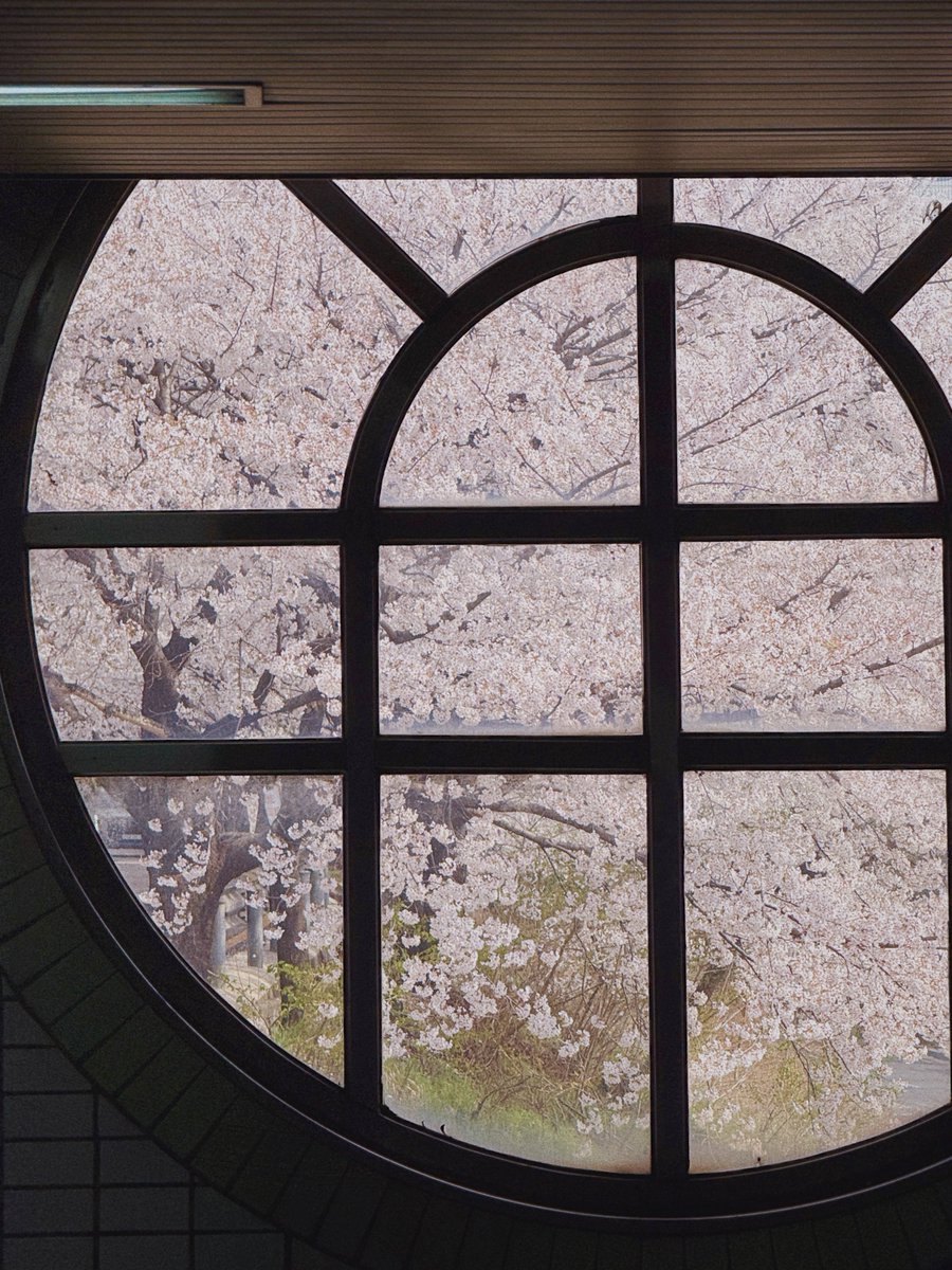 김여행 tweet media