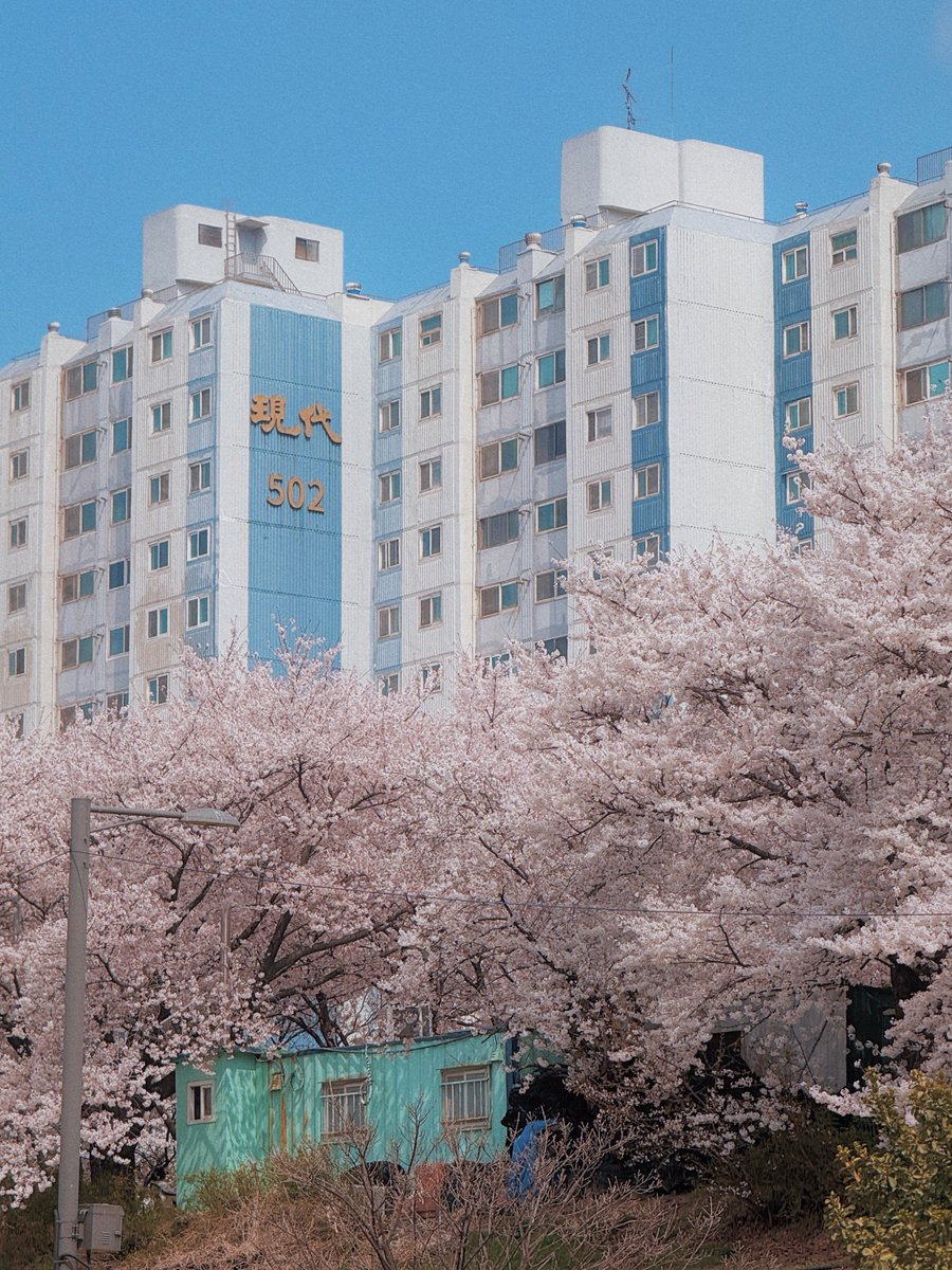 김여행 tweet media