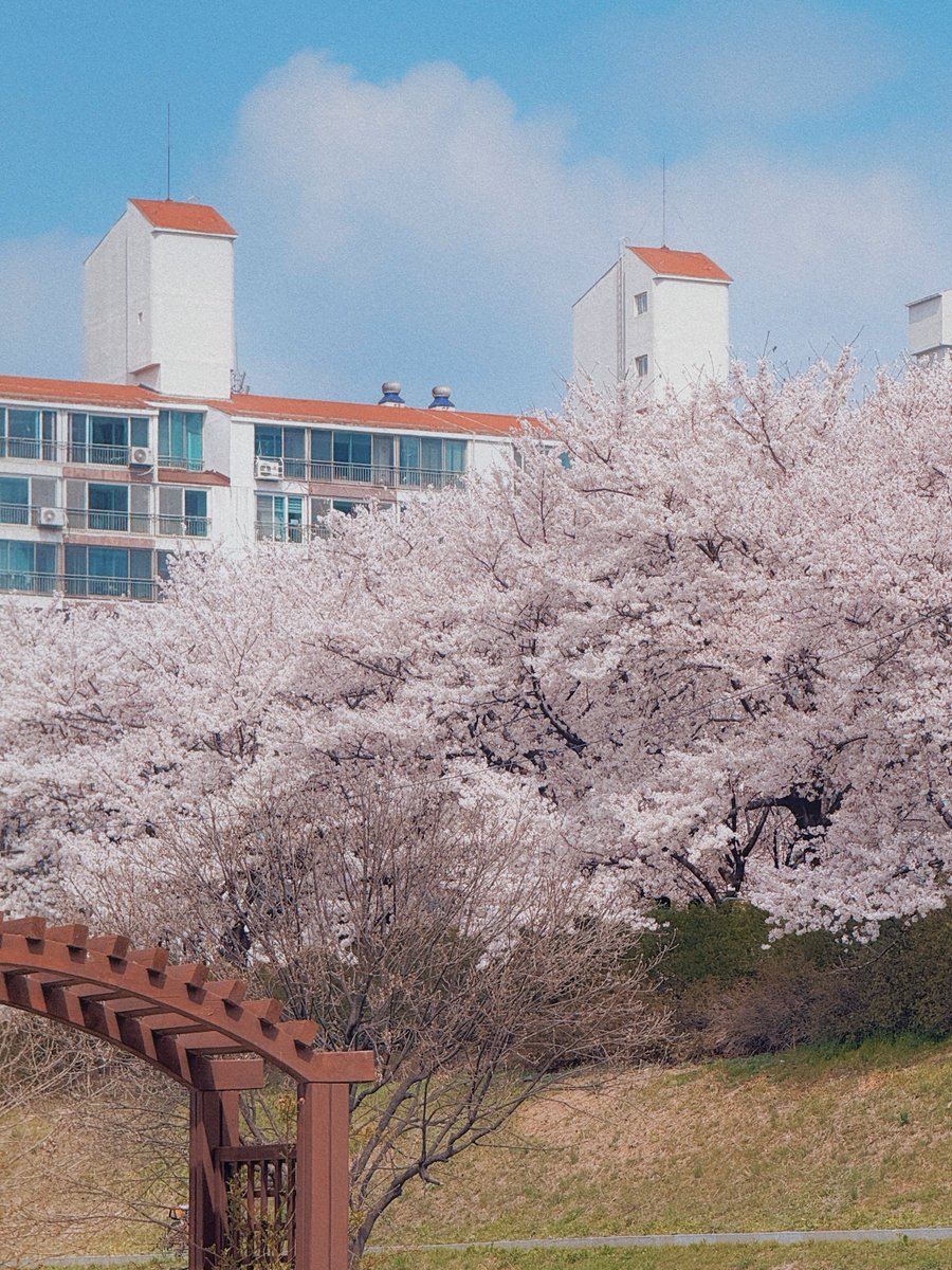 김여행 tweet media