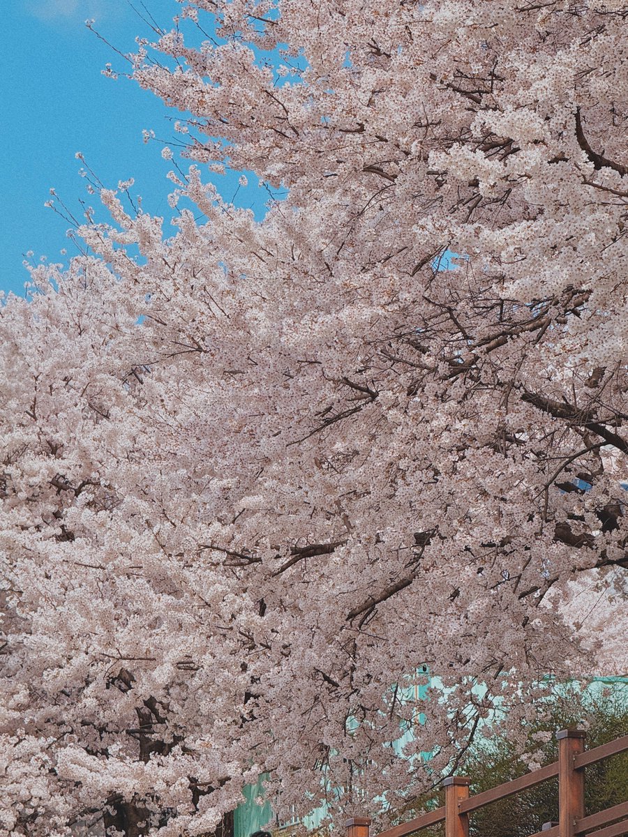 김여행 tweet media