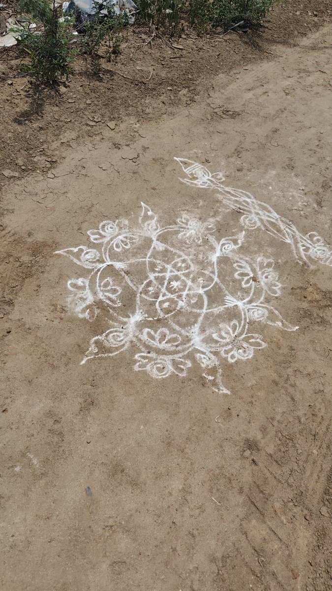 しょこたる🇮🇳 tweet media