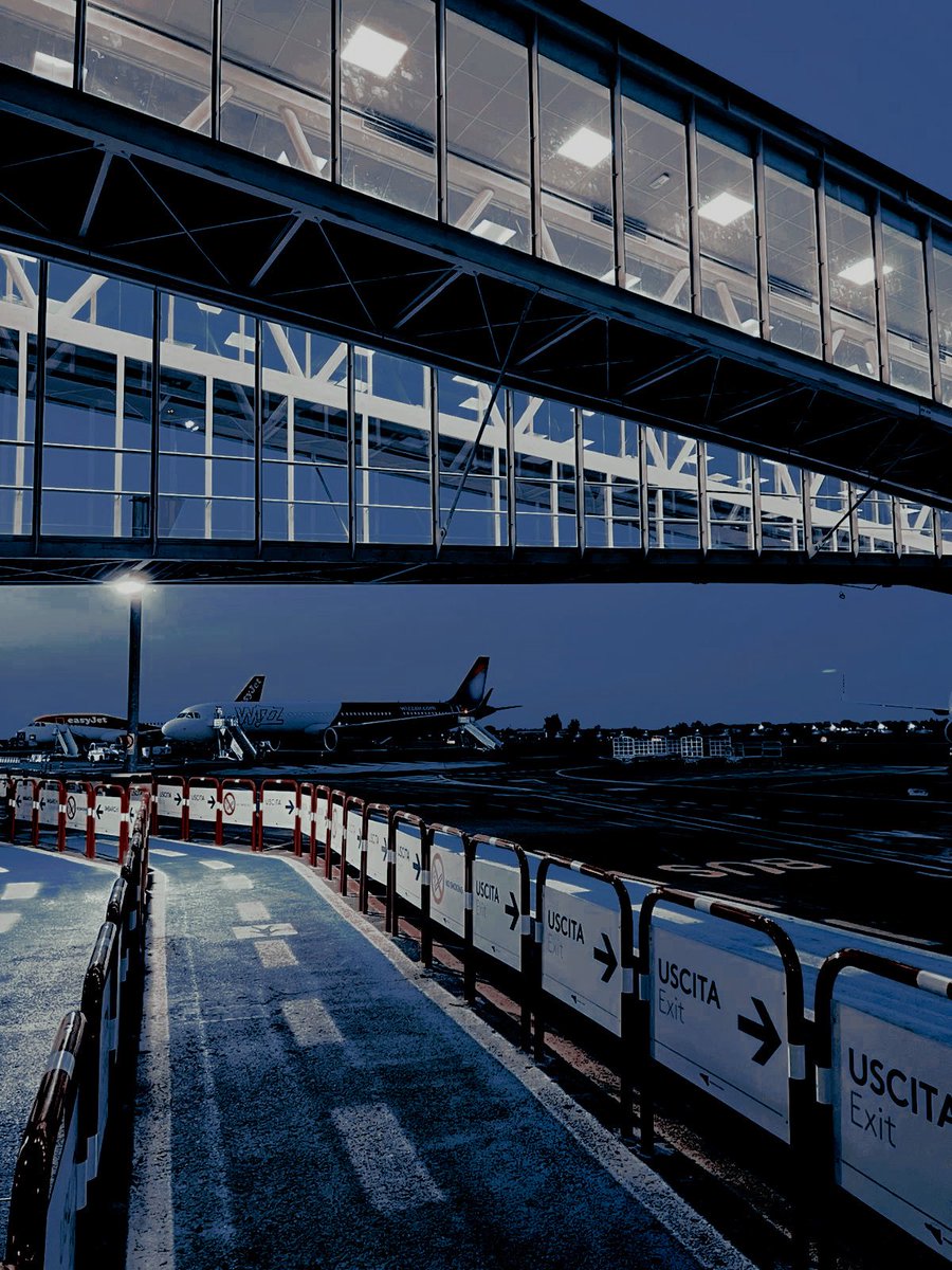 Sae. ✞ tweet media