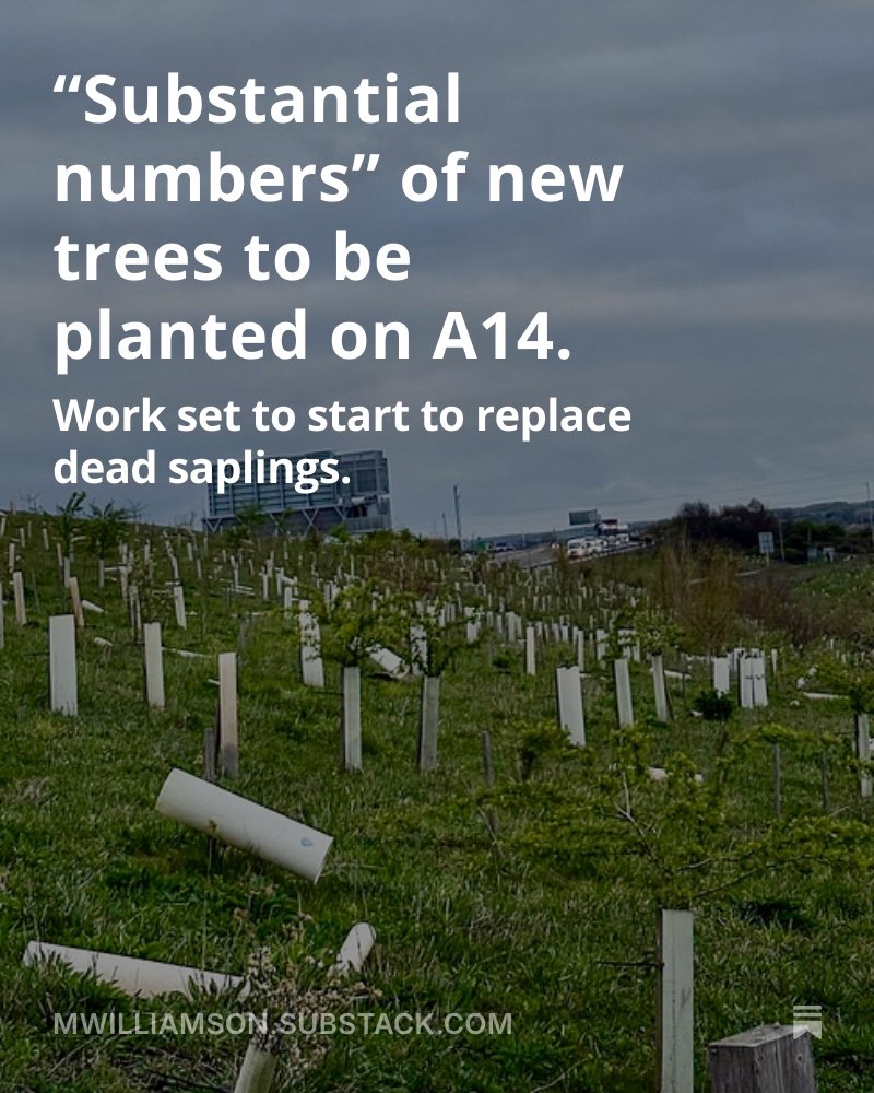 Mark Williamson tweet media