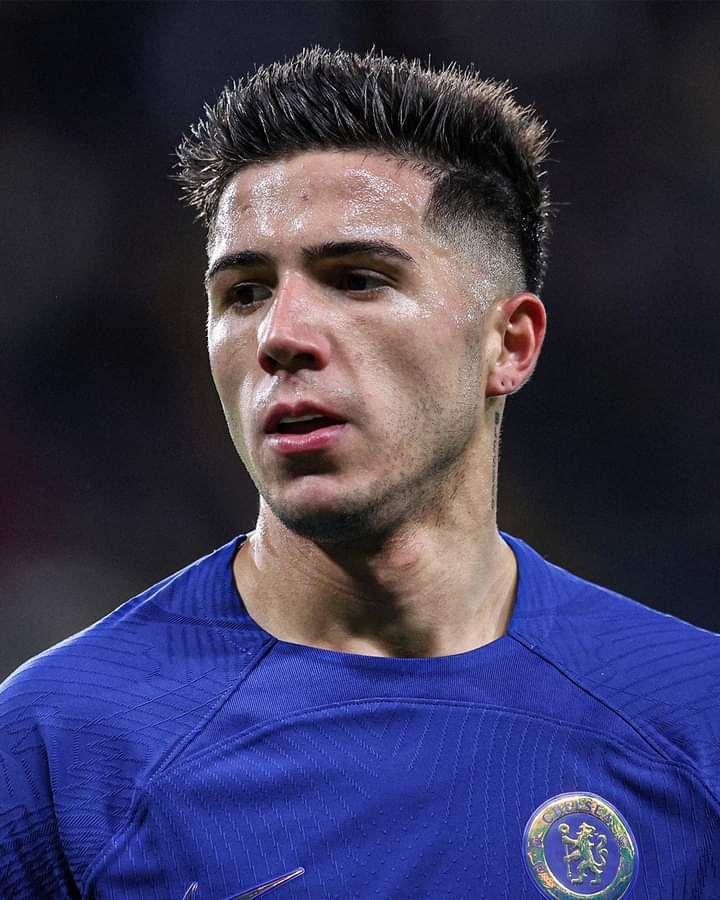 (fan) Shedy tweet media