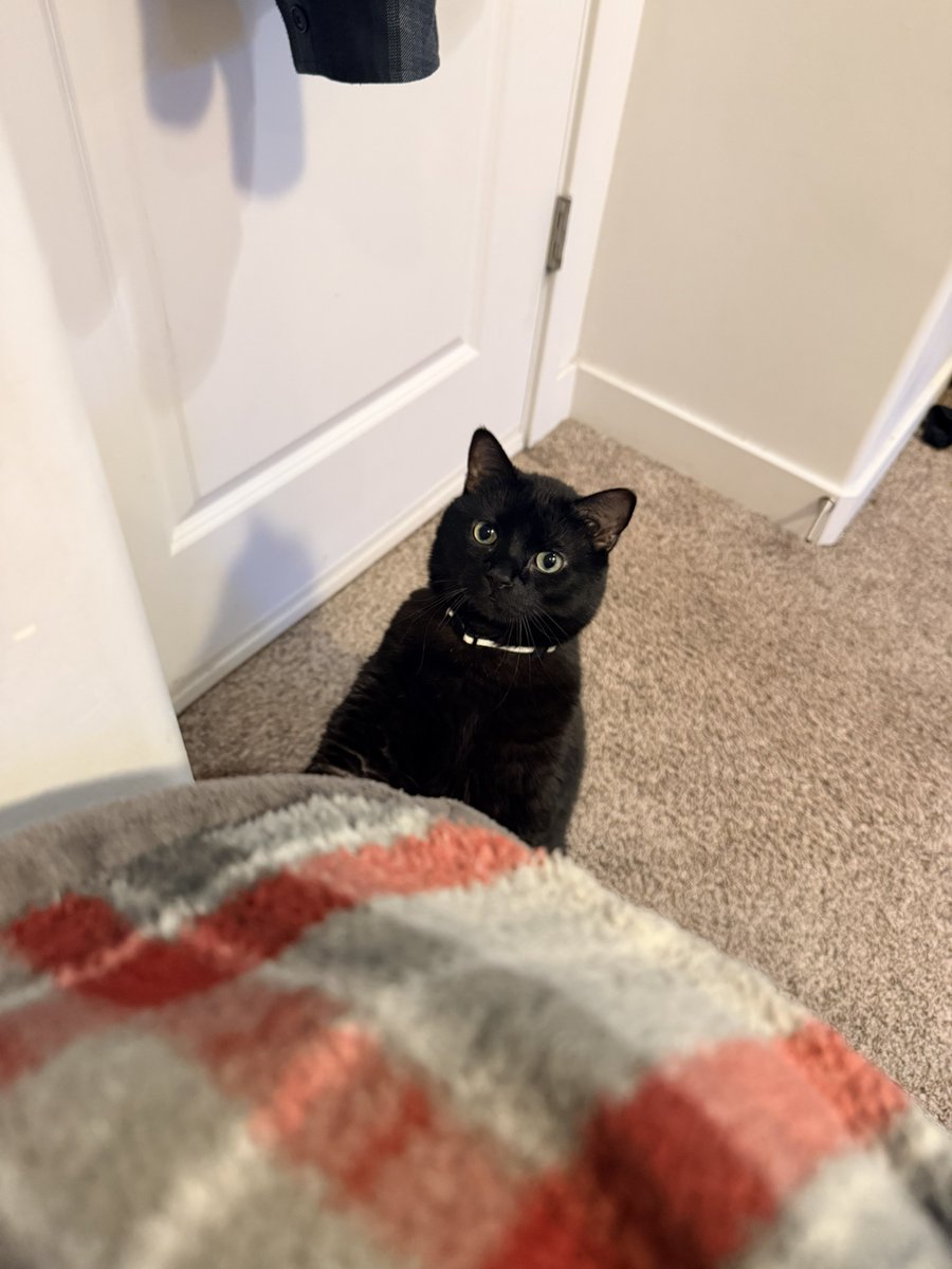 LibertyForAll tweet media