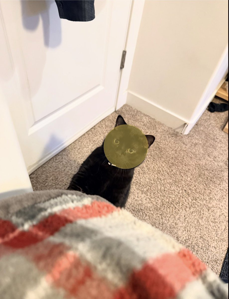 LibertyForAll tweet media