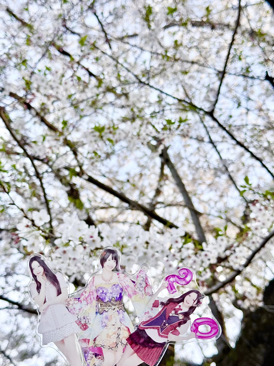 あしゅりんご tweet media