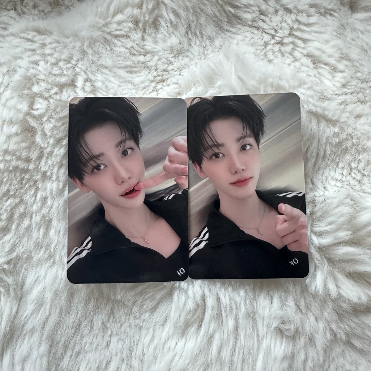 재민이 포카 너무 귀엽둥