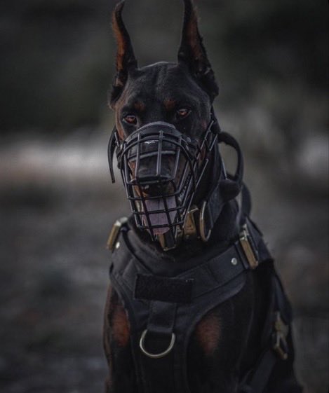 abuja stylist✰ tweet media