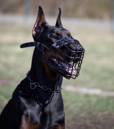 abuja stylist✰ tweet media