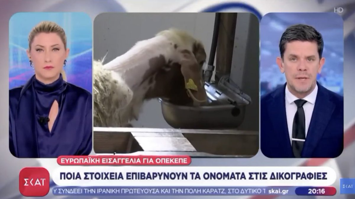 Economist 🌵 tweet media