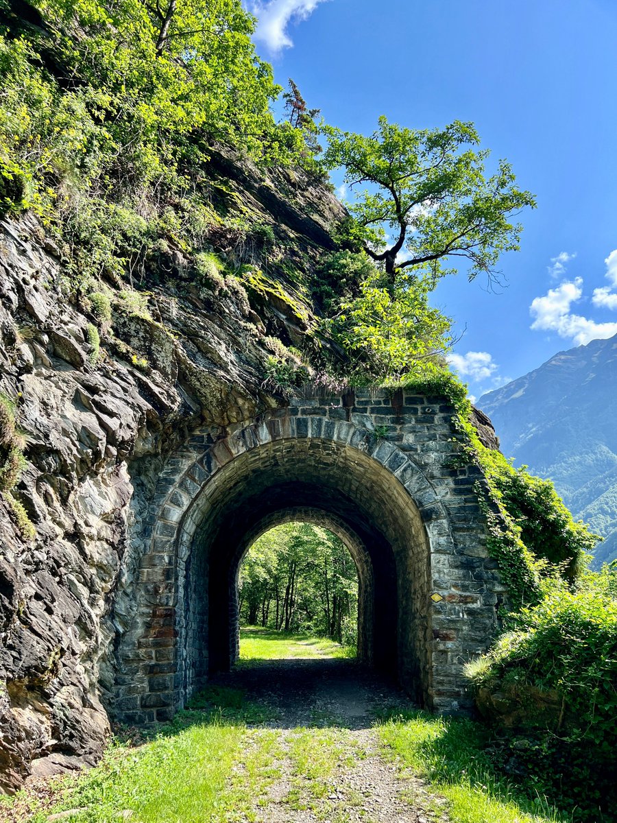 Bergwelt🇨🇭 tweet media