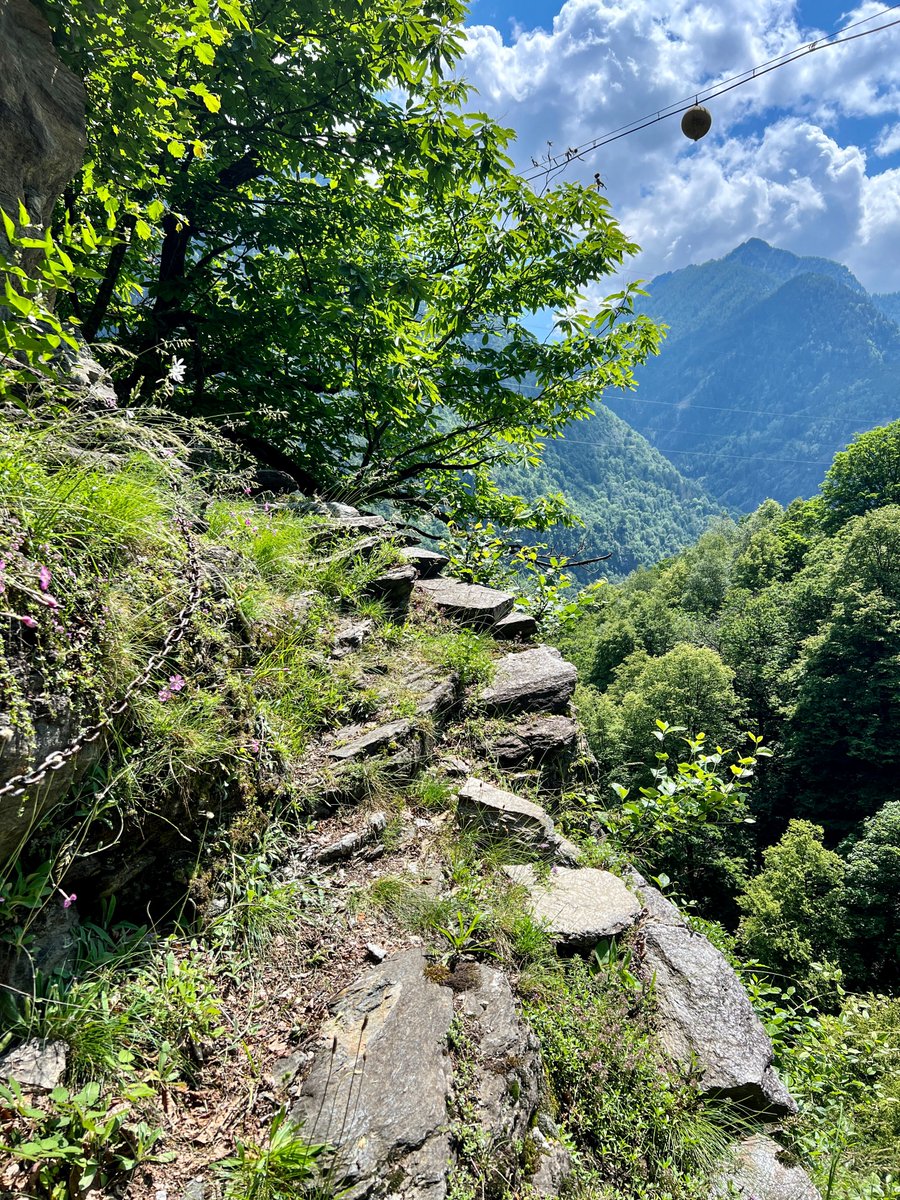 Bergwelt🇨🇭 tweet media