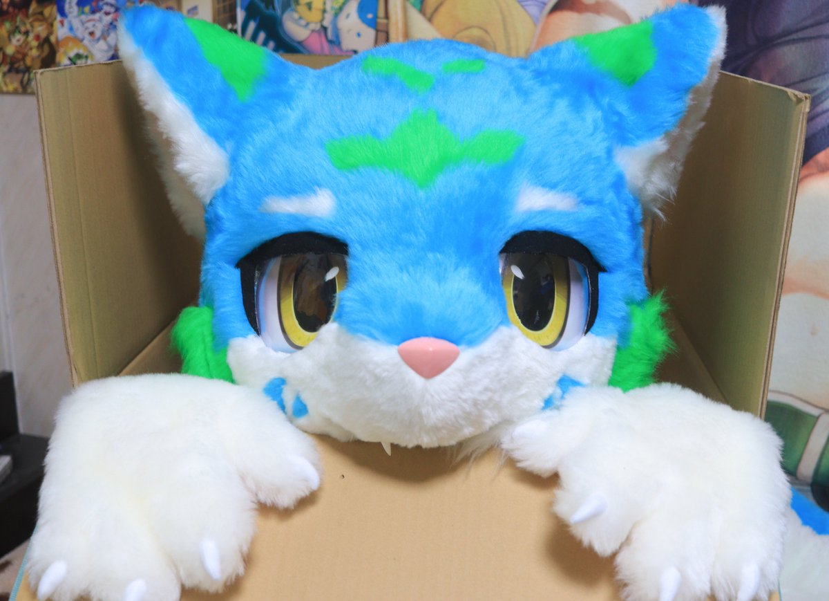 ウマリア tweet media