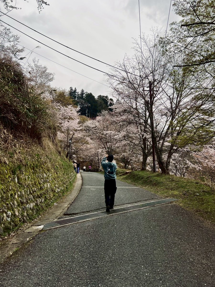家族で桜見に吉野山へ♪
凄い混雑すると聞いたので頑張って４時起きからの現地に６時到着！
その甲斐あって人も車も少なくすぐに停めれて堪能出来た😆✨
でも団子も大事よね笑

４枚目は、おゆがいつの間にかスタイル良く写してくれてた♪
実際がこんだけ足長かったらええな笑