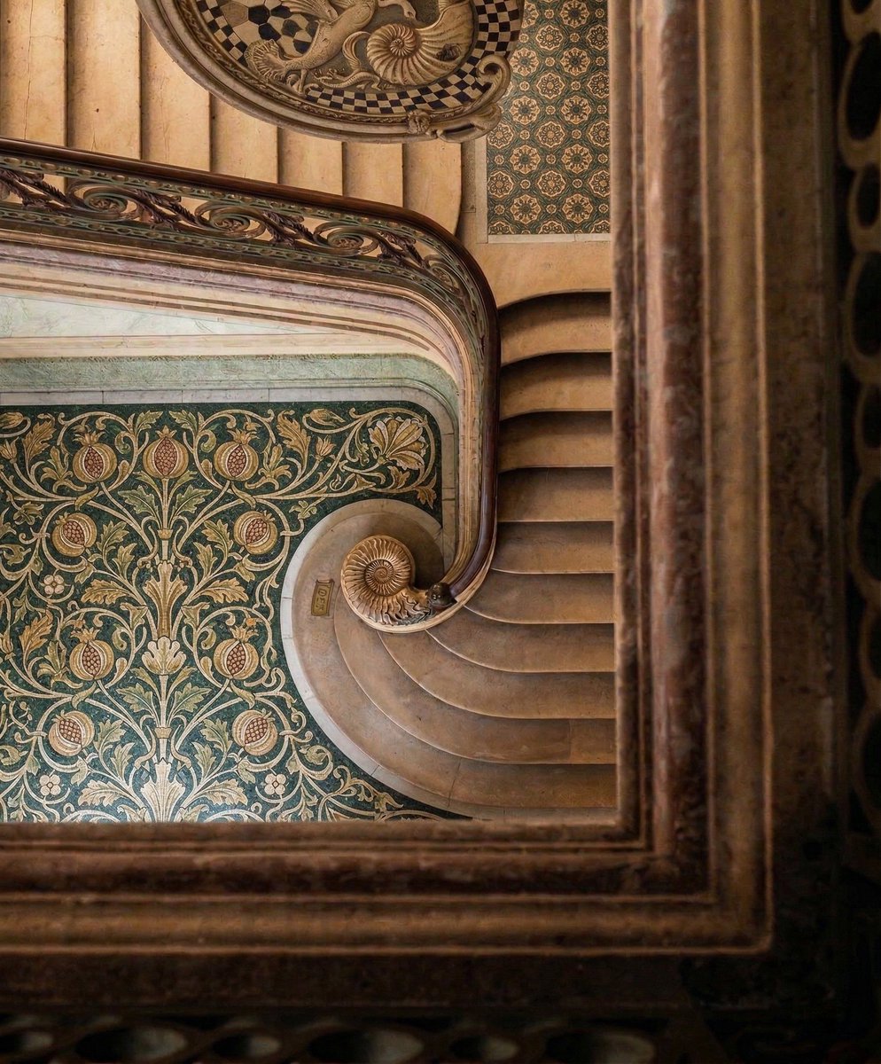 Ramin Nasibov tweet media