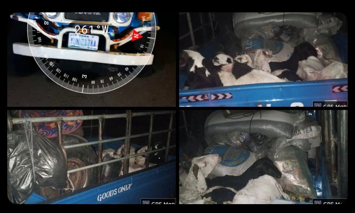 A. Ayofe tweet media