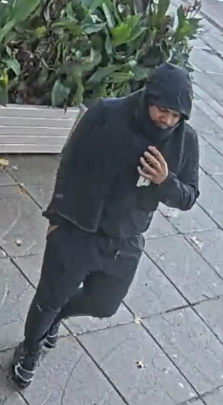 Opa des Vaderlands tweet media