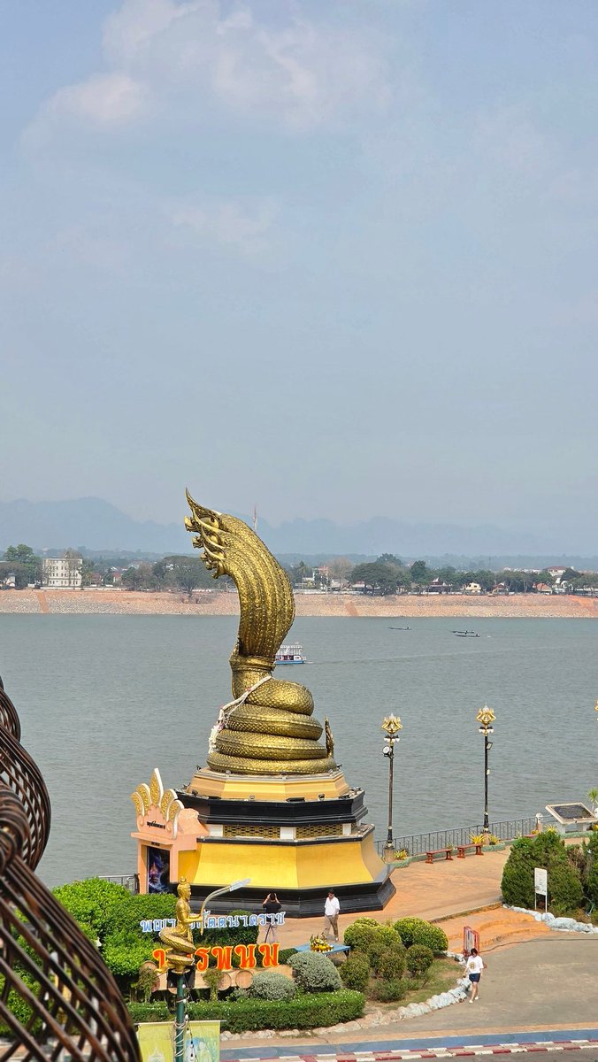 Tomjung CU Stars tweet media