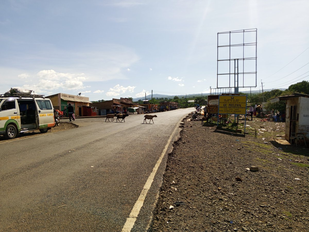 The GIS guy 🌍 tweet media