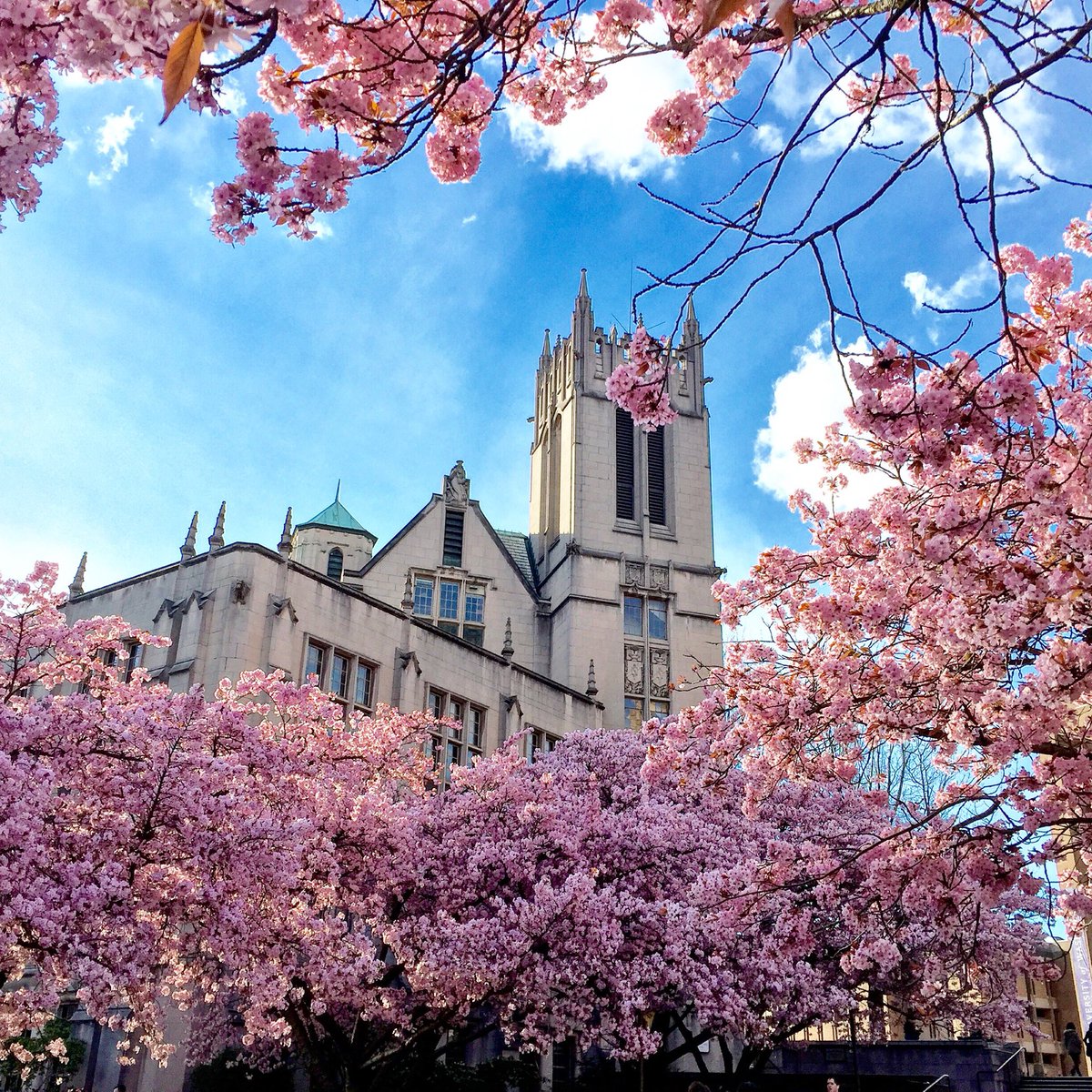 Explorer tweet media