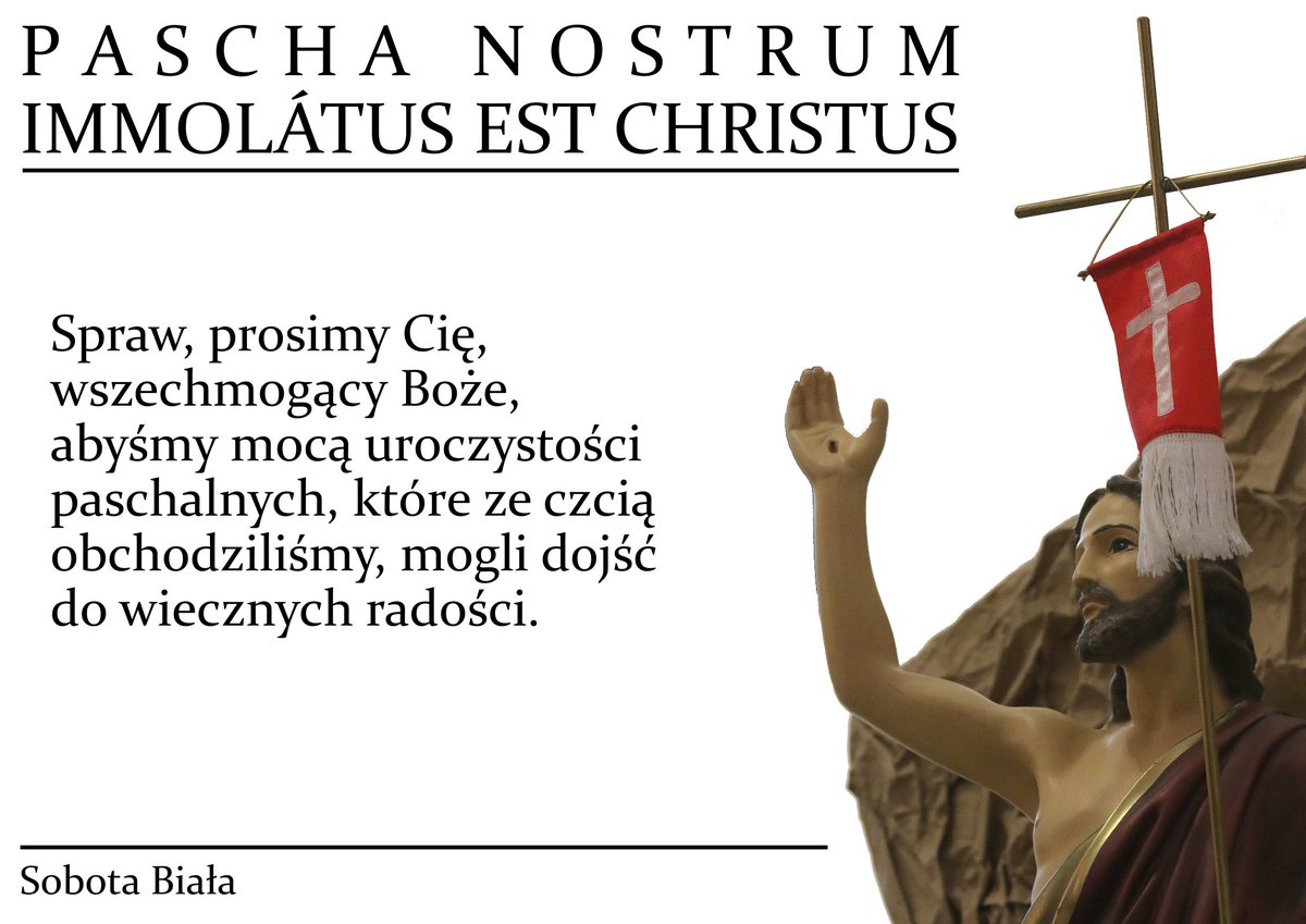 Msza Święta Trydencka tweet media