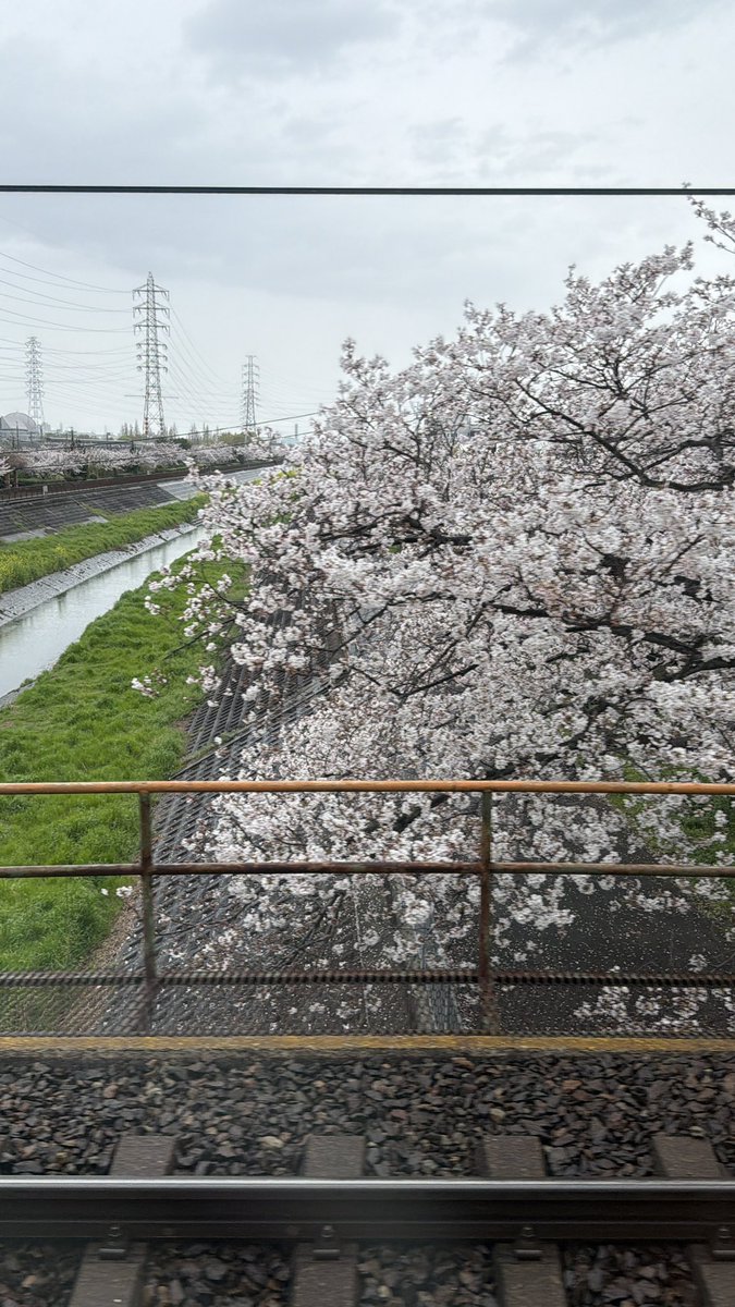 K Hishikawa tweet media