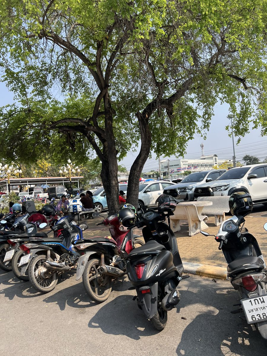 ขนมหวาน tweet media