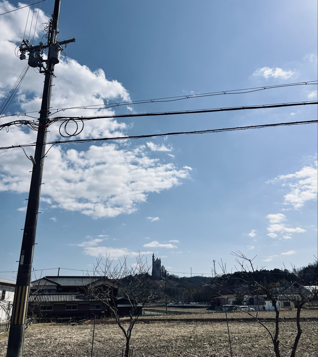 ももしきや tweet media