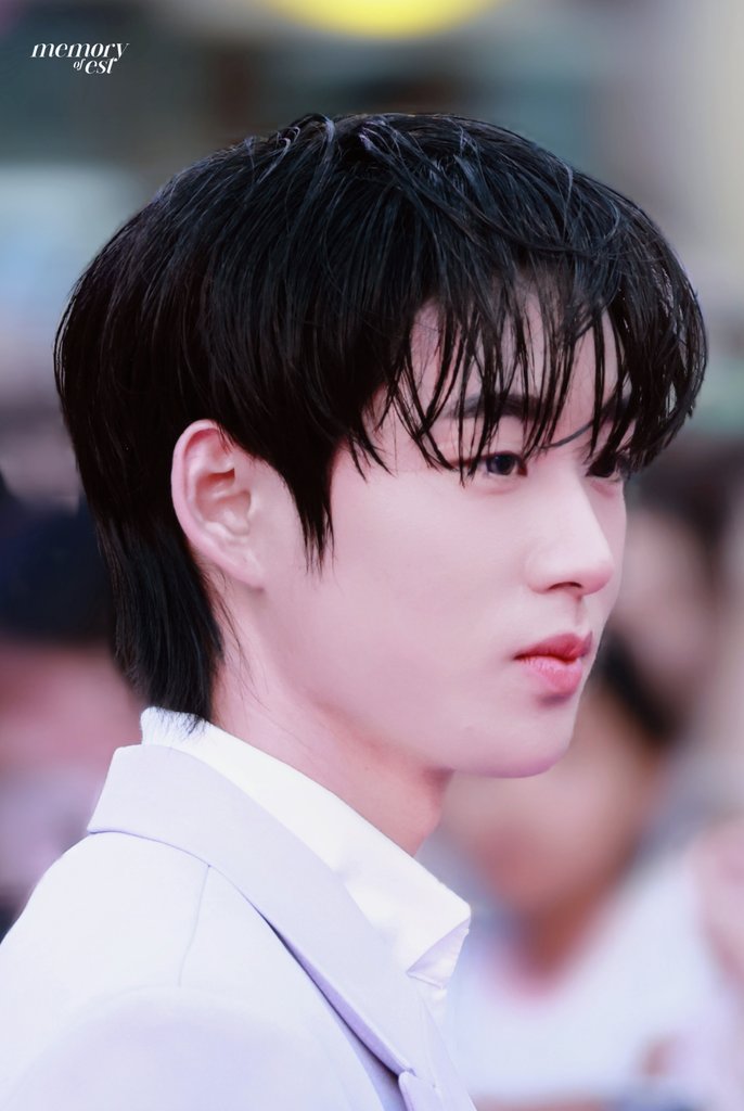 memoryofest🦈 tweet media