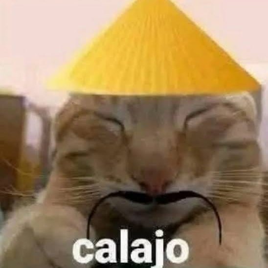 ALTMayoko🏳️⚧️ tweet media