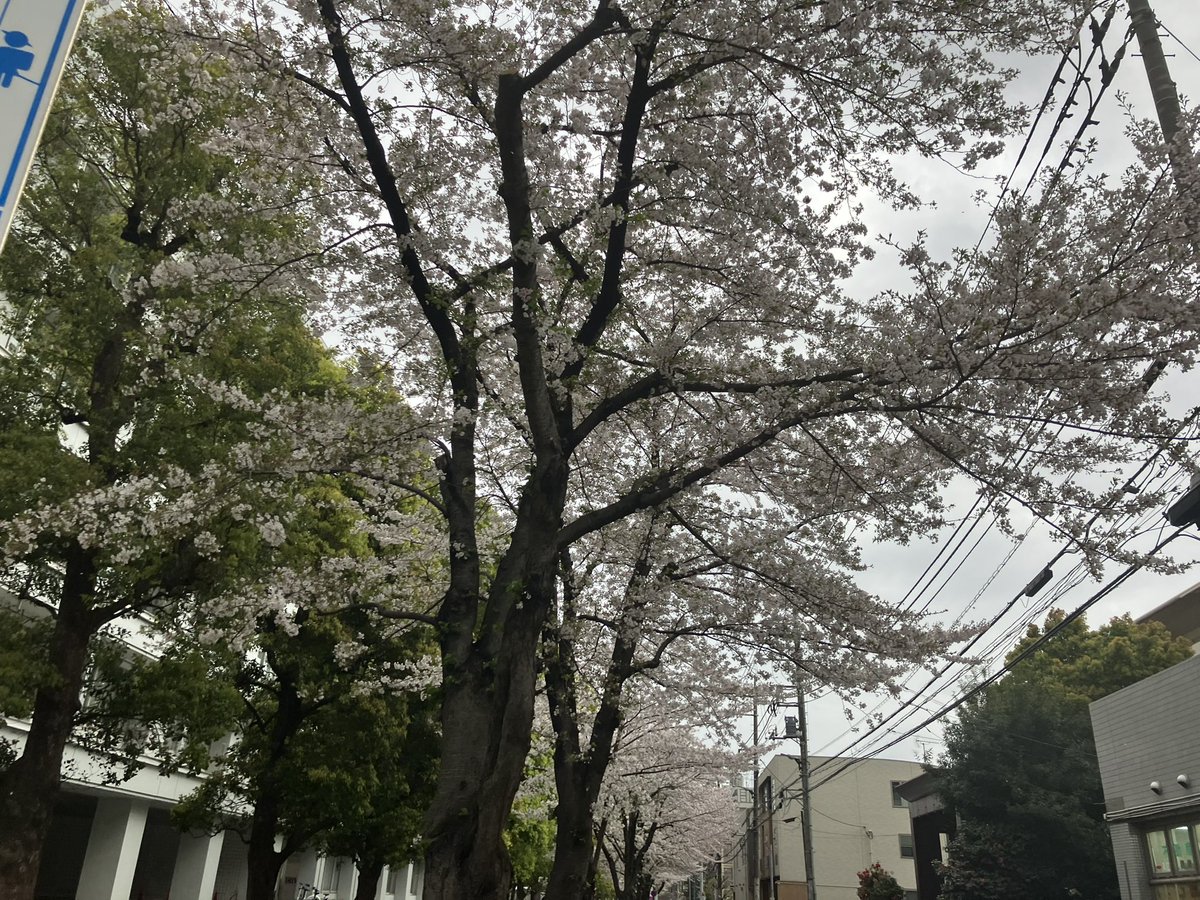 りるっく tweet media