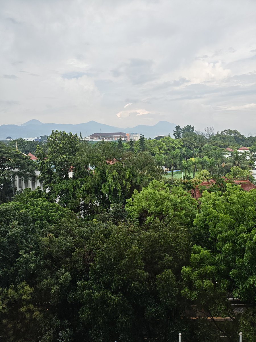 monyet ijo banyumas tweet media