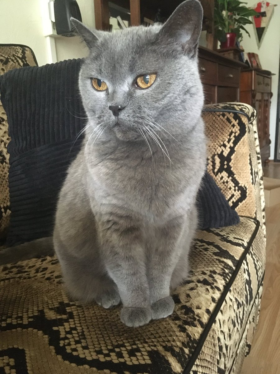 𝕊𝕪𝕝𝕧𝕒𝕟𝕒 𝟘𝟙𝟘 ❤️ tweet media