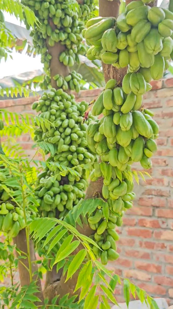 ιτ'ѕ נαииατн 🧑‍🦰 tweet media