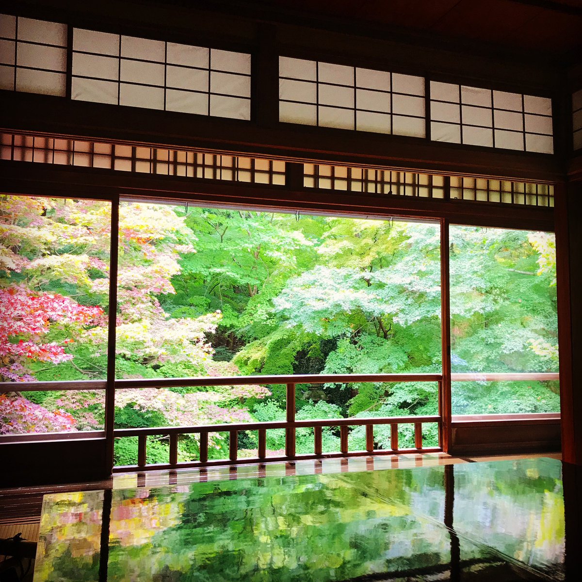 しょう tweet media