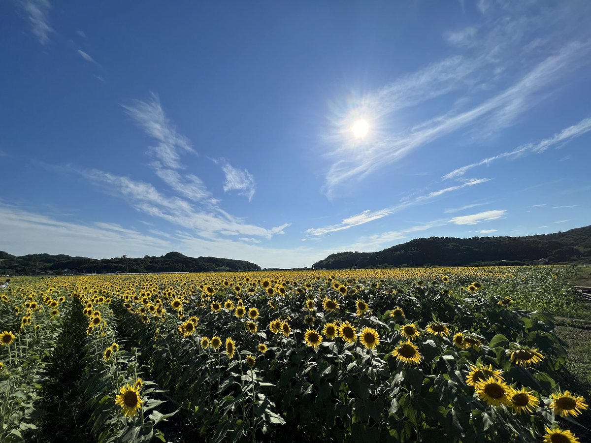 しょう tweet media