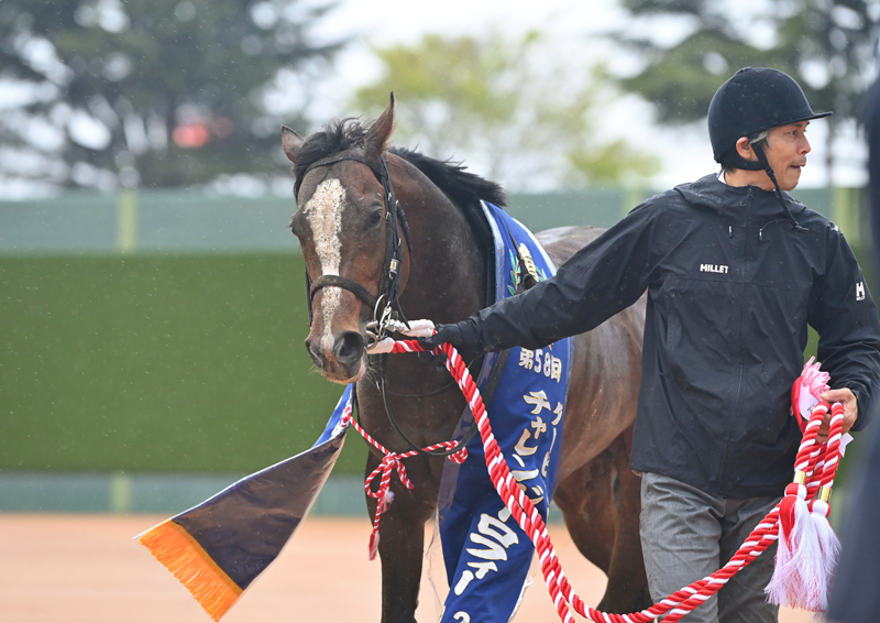 週刊Gallop（Weekly Gallop） tweet media