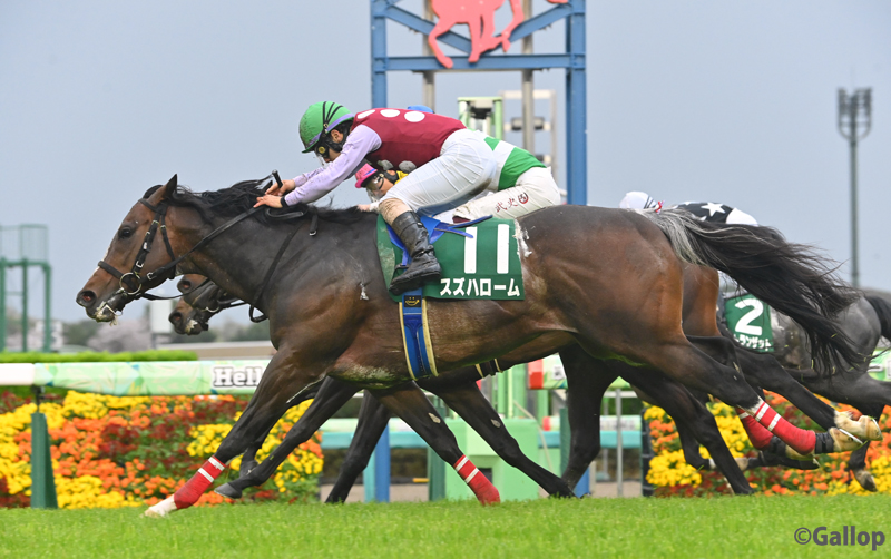 週刊Gallop（Weekly Gallop） tweet media