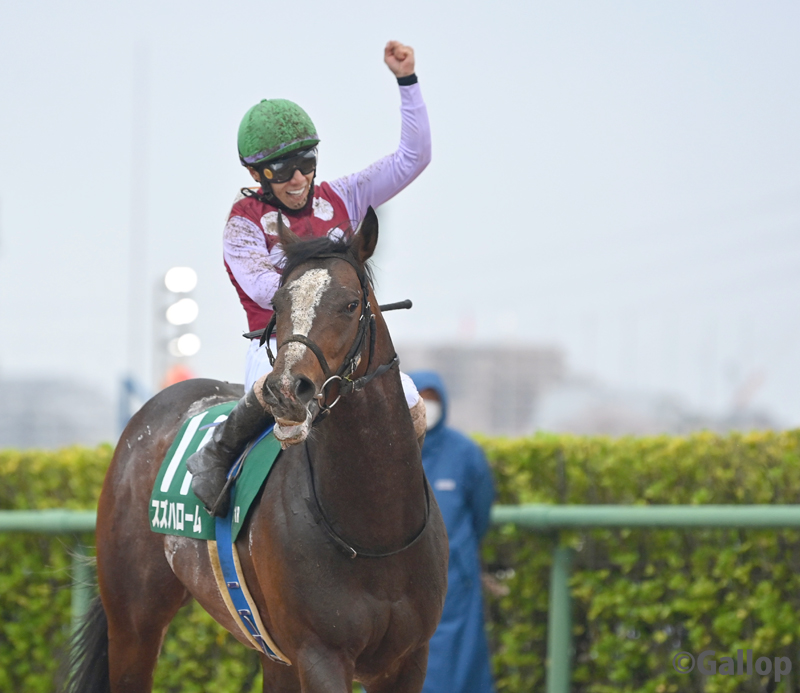 週刊Gallop（Weekly Gallop） tweet media