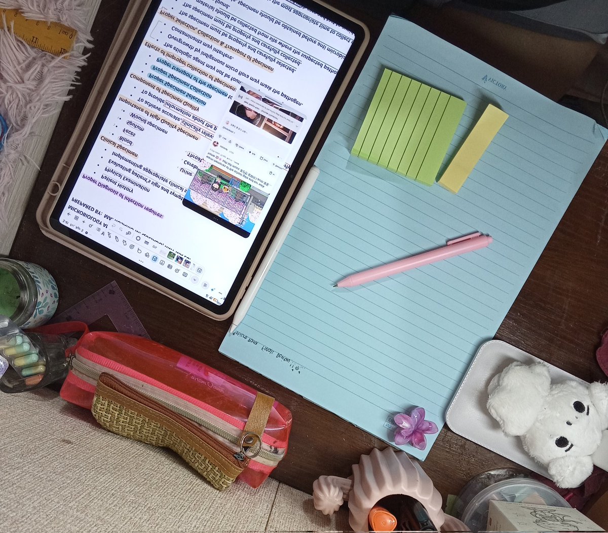 rai !! 𖦹 ׂ 𓈒 tweet media