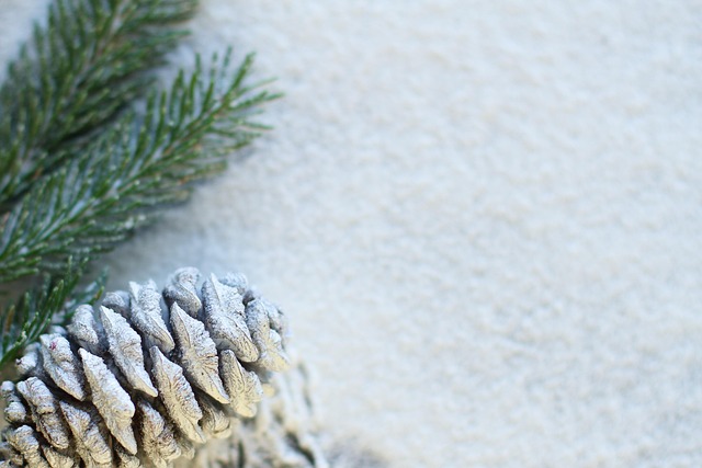 Ryan Payne tweet media