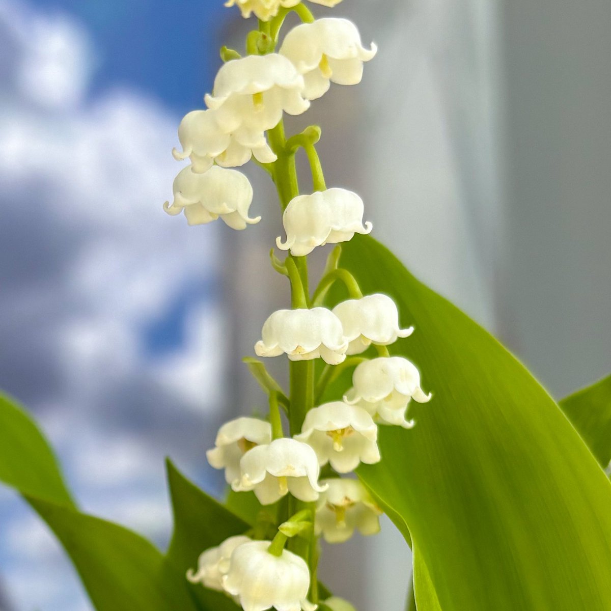 alina •᷄ɞ•᷅ ⋆. 𐙚 ˚ tweet media