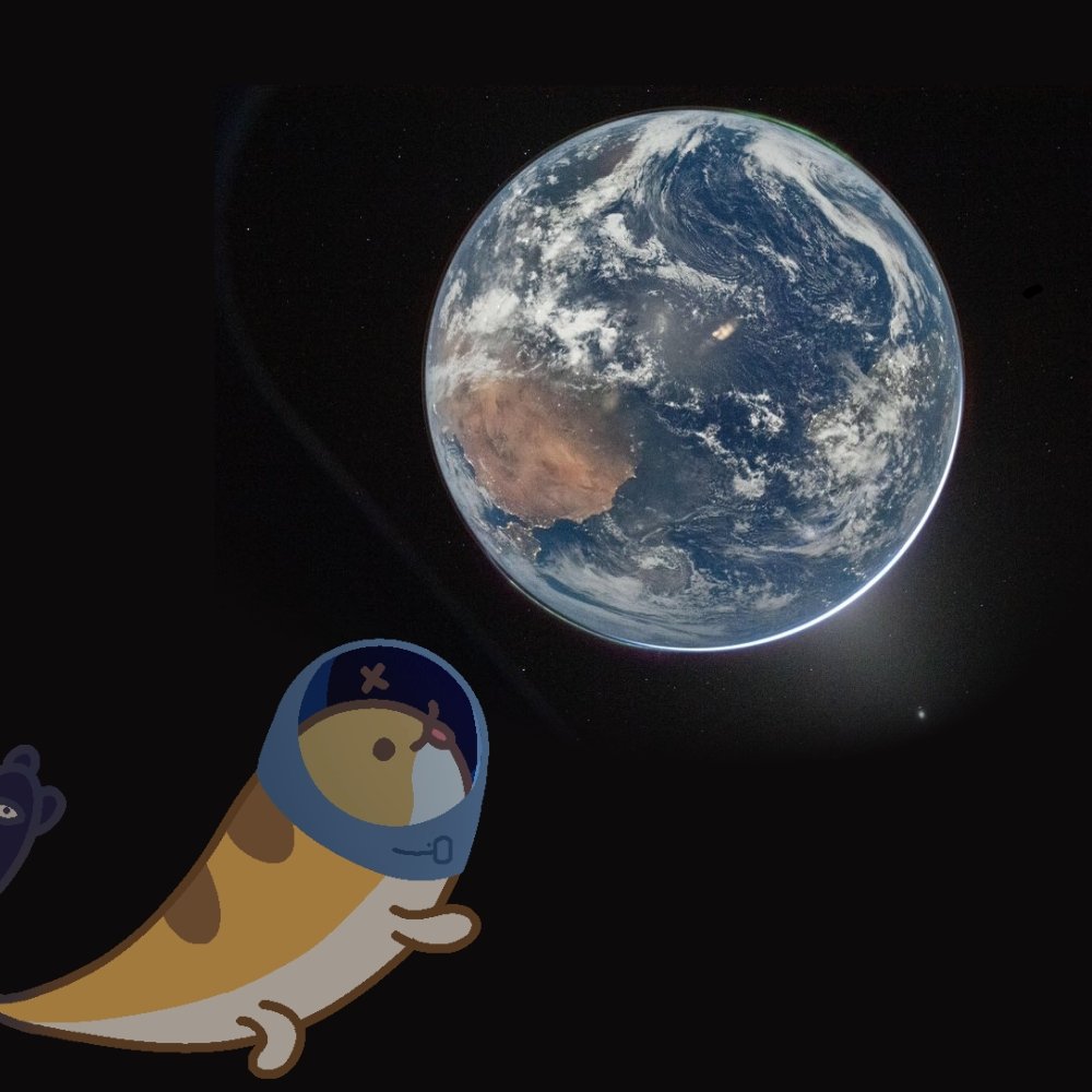 Holome November tweet media